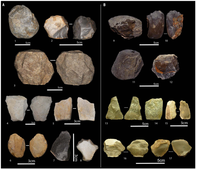 Some Oldowan tools found at the site, including cores and flakes.